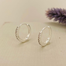 ARGOLA 1 FILEIRA ZIRCONIA PRATA