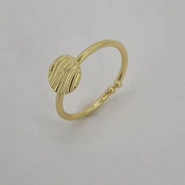 ANEL COM CIRCULO IRREGULAR