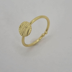 ANEL COM CIRCULO IRREGULAR